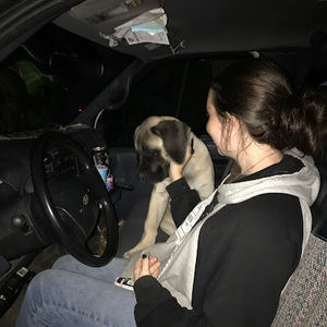 Meet your Posher, Sally-jo